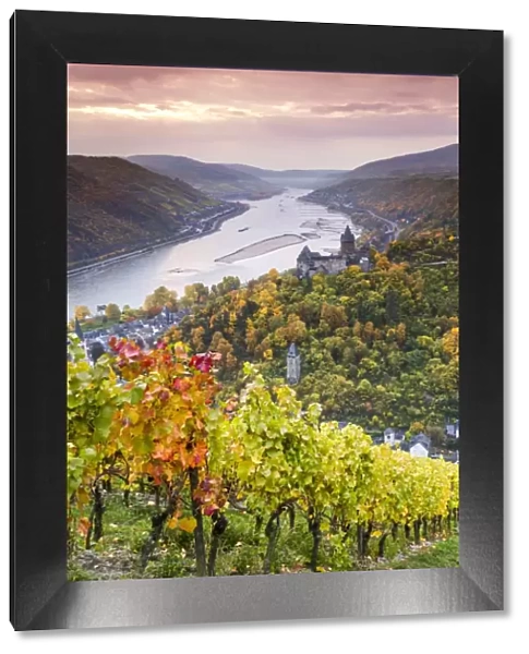 Vineyards over Bacharach, Rhineland-Palatinate, Germany