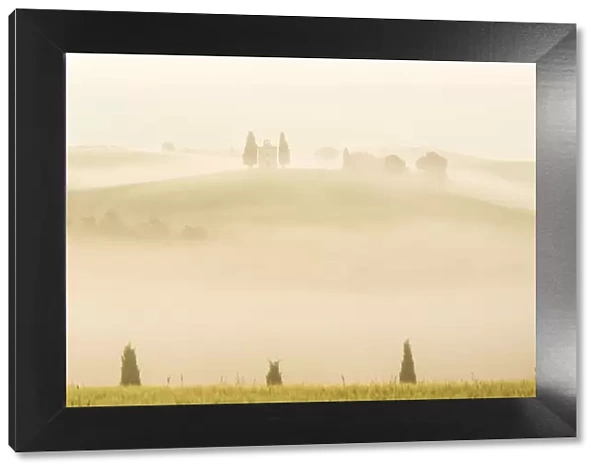 Early morning mist, Cappella di Vitaleta, Chapel, Val d Orcia, Tuscany, Italy