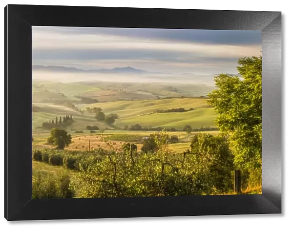Countryside view with farmhouse & hills, Tuscany (Toscana), Italy