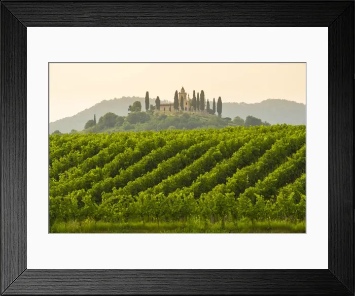 Framed Print : Gussago, Franciacorta, Lombardy, Italy. Vineyards Framed Print : Gussago, Franciacorta, Lombardy, Italy. Vineyards
