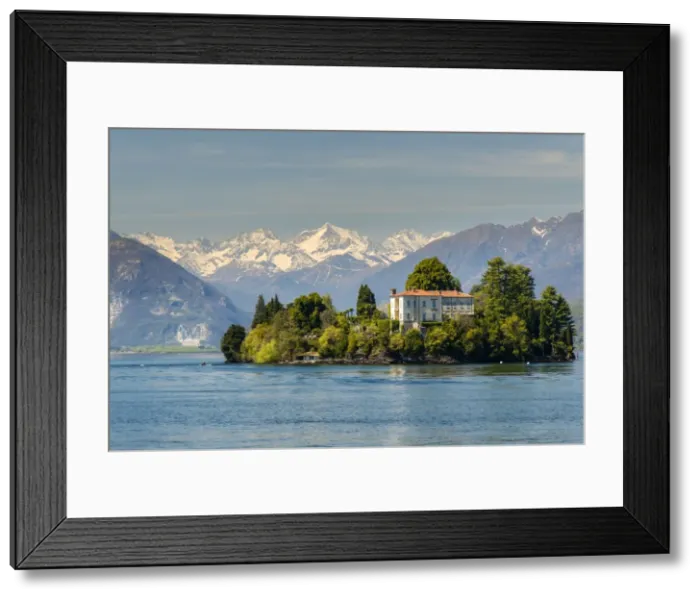 Framed Print : Isola Madre with snowy Alps behind, Lake Maggiore, Piedmont, Italy Framed Print : Isola Madre with snowy Alps behind, Lake Maggiore, Piedmont, Italy