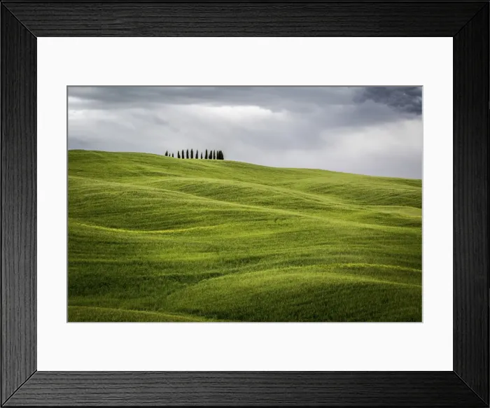 Framed Print : Tuscany, Val d Orcia, Italy. Cypress trees in green meadow field with clouds gathering Framed Print : Tuscany, Val d Orcia, Italy. Cypress trees in green meadow field with clouds gathering