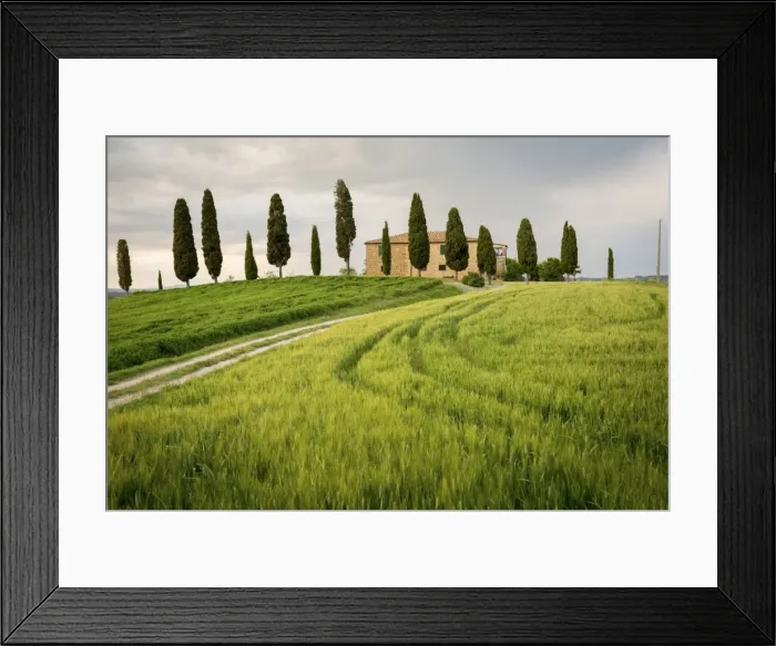Framed Print : Val d Orcia, Tuscany, Italy. A lonely farmhouse with cypress trees standing in line