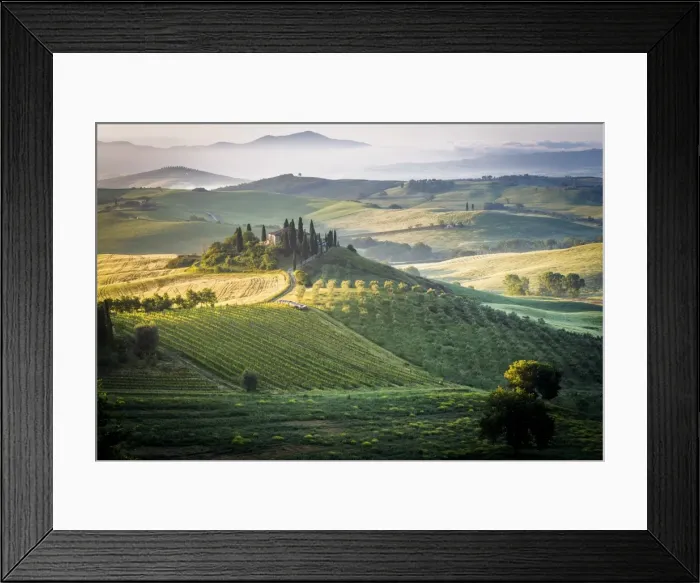 Framed Print : Val d Orcia, Tuscany, Italy. A lonely farmhouse with cypress and olive trees, rolling Framed Print : Val d Orcia, Tuscany, Italy. A lonely farmhouse with cypress and olive trees, rolling