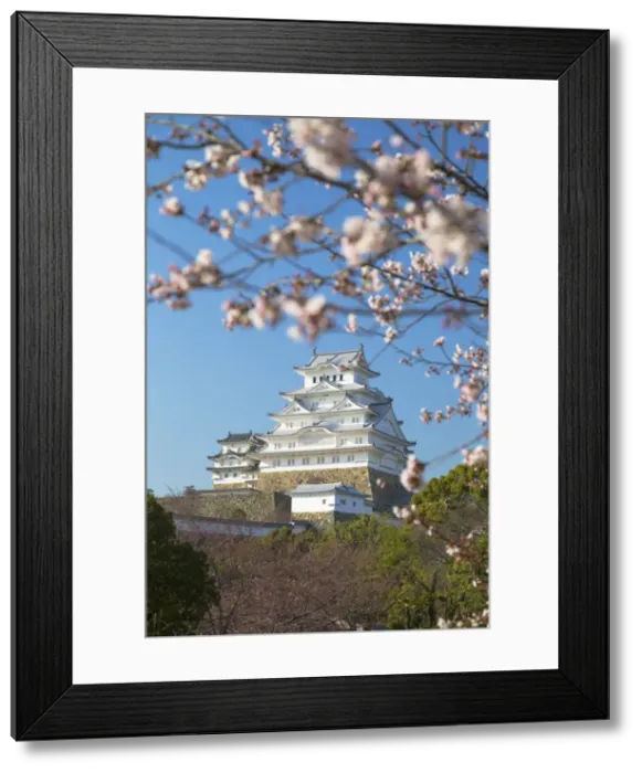 Framed Print : Himeji Castle (UNESCO World Heritage site), Himeji, Kansai, Honshu, Japan