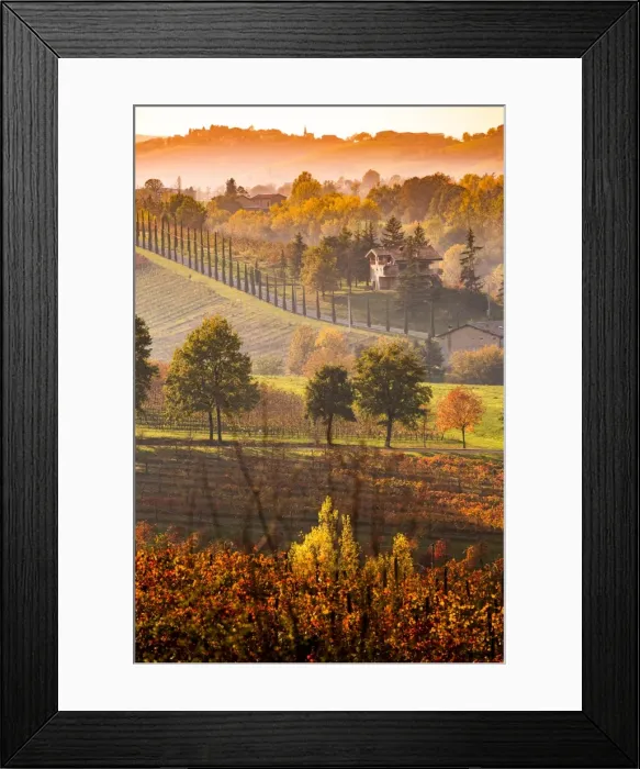 Framed Print : Castelvetro, Modena, Emilia Romagna, Italy. Sunset over the Lambrusco Grasparossa vineyards Framed Print : Castelvetro, Modena, Emilia Romagna, Italy. Sunset over the Lambrusco Grasparossa vineyards