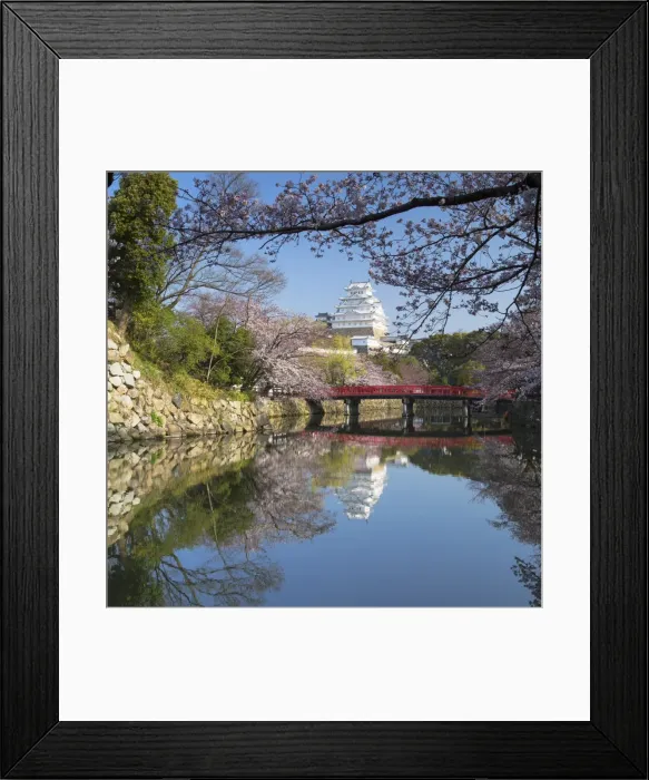 Framed Print : Himeji Castle (UNESCO World Heritage site), Himeji, Kansai, Honshu, Japan Framed Print : Himeji Castle (UNESCO World Heritage site), Himeji, Kansai, Honshu, Japan