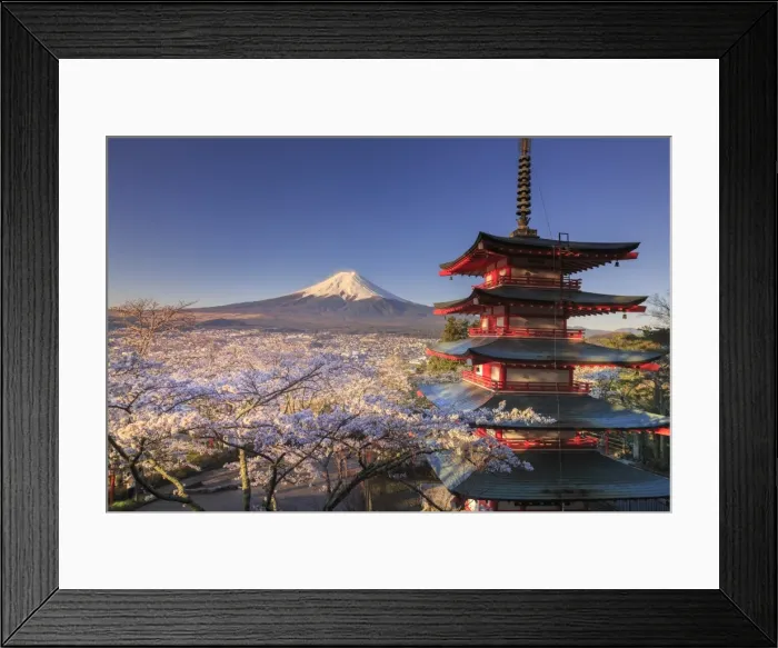 Framed Print : Japan, Yamanashi Prefecture, Fuji-Yoshida, Chureito Pagoda and Mt Fuji during Cherry