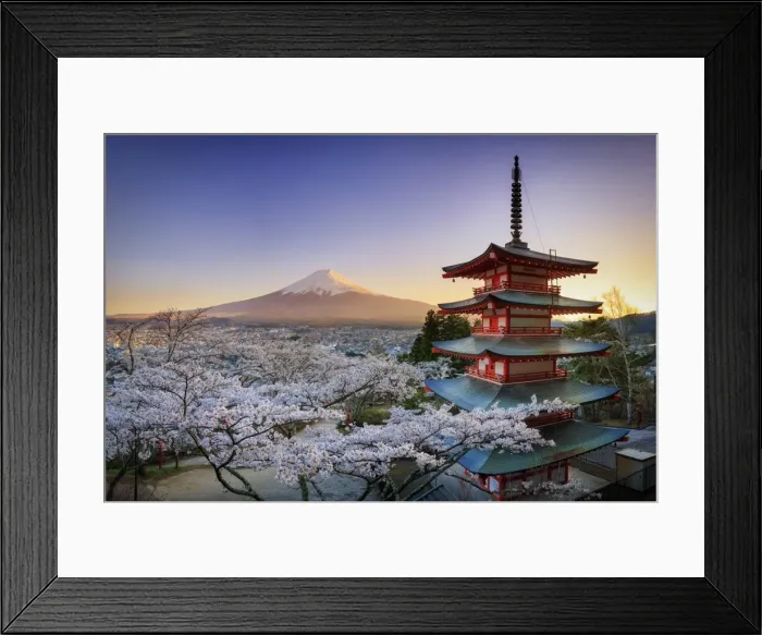 Framed Print : Japan, Yamanashi Prefecture, Fuji-Yoshida, Chureito Pagoda, Mt Fuji and Cherry Blossoms