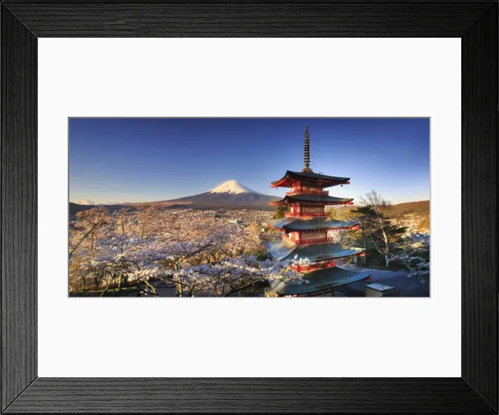 Framed Print : Japan, Yamanashi Prefecture, Fuji-Yoshida, Chureito Pagoda and Mt Fuji during Cherry