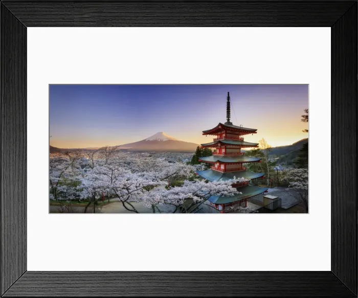 Framed Print : Japan, Yamanashi Prefecture, Fuji-Yoshida, Chureito Pagoda, Mt Fuji and Cherry Blossoms Framed Print : Japan, Yamanashi Prefecture, Fuji-Yoshida, Chureito Pagoda, Mt Fuji and Cherry Blossoms