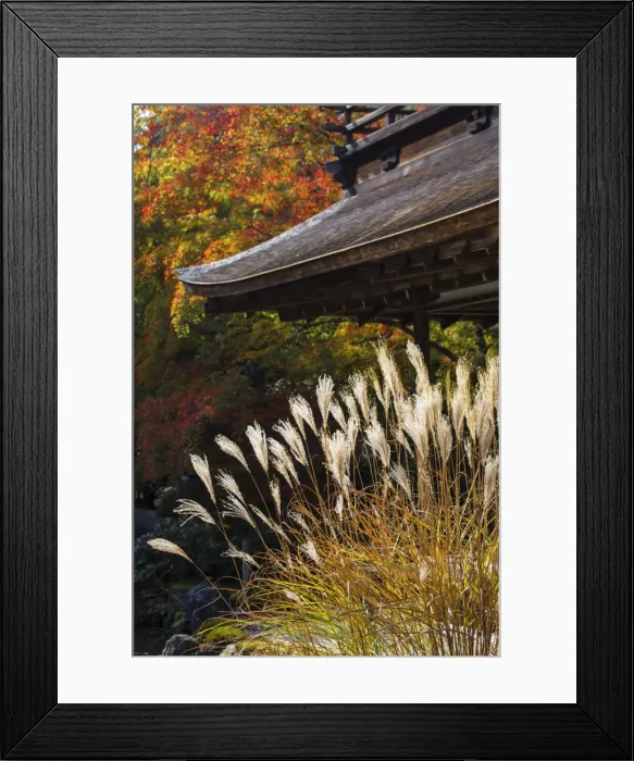 Framed Print : Japan, Kyoto, Ginkakuji Temple - A World Heritage Site Framed Print : Japan, Kyoto, Ginkakuji Temple - A World Heritage Site