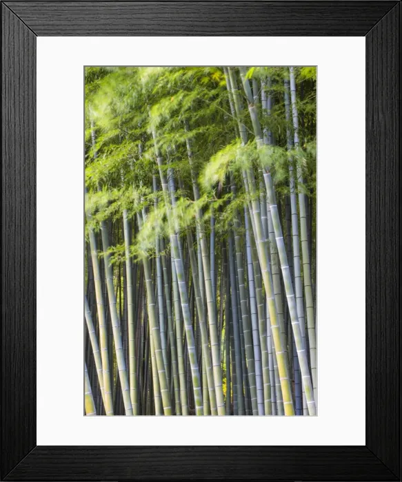 Framed Print : Japan, Kyoto, Arashiyama, Adashino Nenbutsu-Ji Temple Framed Print : Japan, Kyoto, Arashiyama, Adashino Nenbutsu-Ji Temple