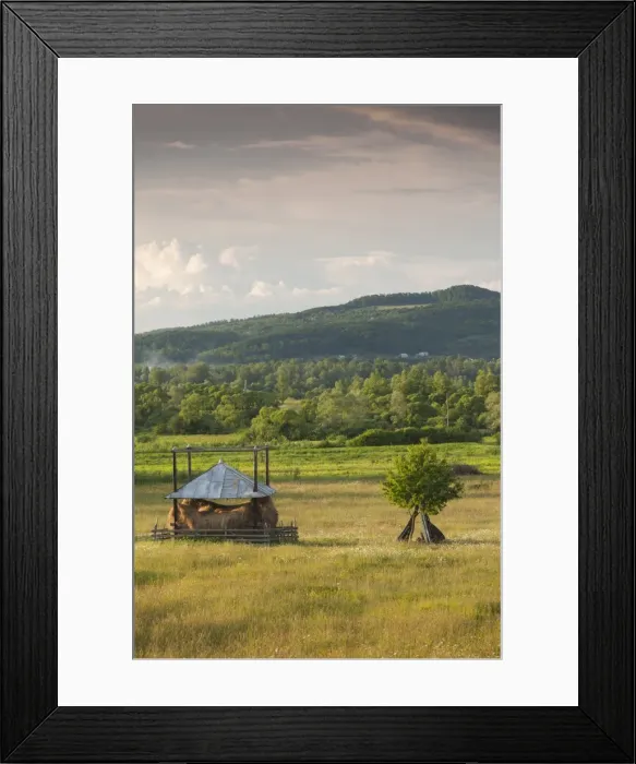 Framed Print : Romania, Maramures Region, Sarasau, haystack by the Ukranian frontier, late afternoon Framed Print : Romania, Maramures Region, Sarasau, haystack by the Ukranian frontier, late afternoon