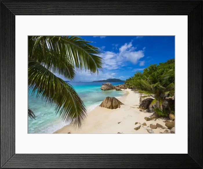 Framed Print : Palm trees and tropical beach, La Digue, Seychelles Framed Print : Palm trees and tropical beach, La Digue, Seychelles