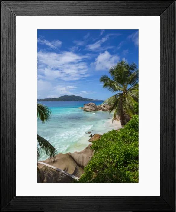 Framed Print : Palm trees and tropical beach, La Digue, Seychelles Framed Print : Palm trees and tropical beach, La Digue, Seychelles