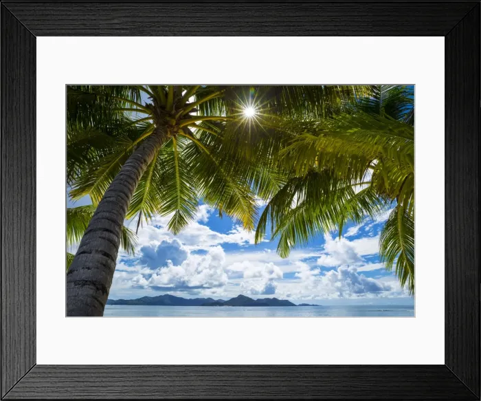 Framed Print : Palm trees and tropical beach, La Digue, Seychelles Framed Print : Palm trees and tropical beach, La Digue, Seychelles