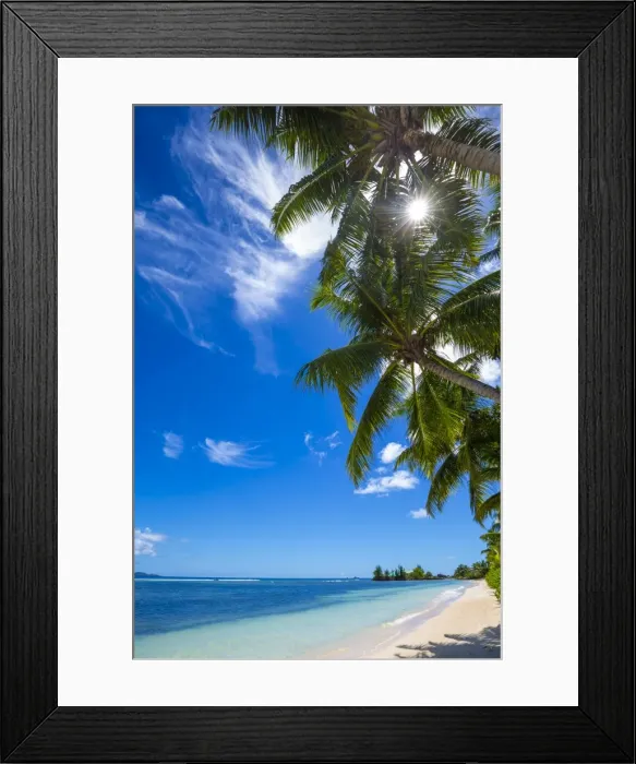 Framed Print : Palm trees and tropical beach, La Digue, Seychelles Framed Print : Palm trees and tropical beach, La Digue, Seychelles