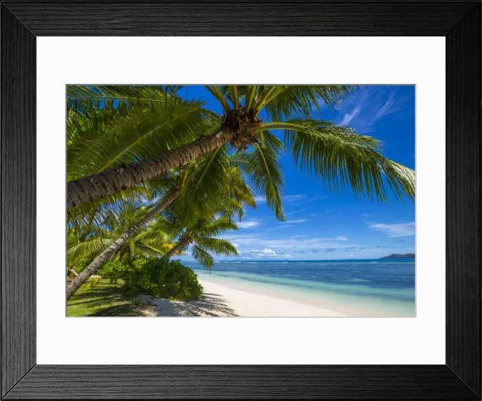 Framed Print : Palm trees and tropical beach, La Digue, Seychelles Framed Print : Palm trees and tropical beach, La Digue, Seychelles