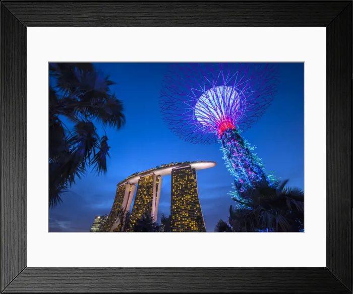 Framed Print : Singapore, Gardens By The Bay, Super Tree Grove and Marina Bay Sands Hotel, dusk Framed Print : Singapore, Gardens By The Bay, Super Tree Grove and Marina Bay Sands Hotel, dusk