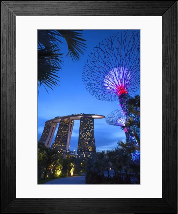 Framed Print : Singapore, Gardens By The Bay, Super Tree Grove and Marina Bay Sands Hotel, dusk Framed Print : Singapore, Gardens By The Bay, Super Tree Grove and Marina Bay Sands Hotel, dusk
