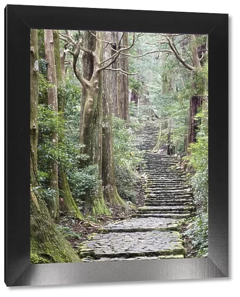 A nature trail in southern Japan, Kii peninsula close to Nachi falls