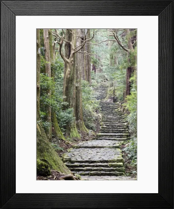 Framed Print : A nature trail in southern Japan, Kii peninsula close to Nachi falls Framed Print : A nature trail in southern Japan, Kii peninsula close to Nachi falls