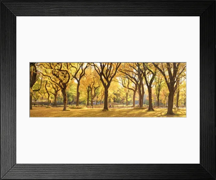 Framed Print : USA, New York City, Manhattan, Central Park, The Mall