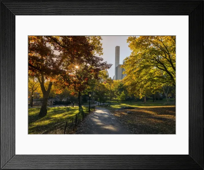 Framed Print : Fall foliage at Central Park, Manhattan, New York, USA Framed Print : Fall foliage at Central Park, Manhattan, New York, USA