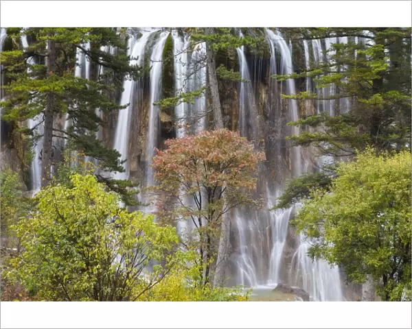 Nuorilang Waterfall. Jiuzhaigou National Park, Sichuan Province. China