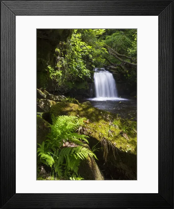 Framed Print : United Kingdom, England, North Yorkshire, Goathland Framed Print : United Kingdom, England, North Yorkshire, Goathland
