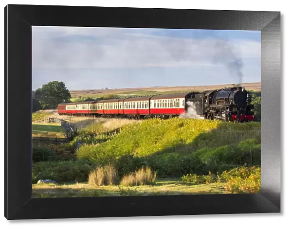 United Kingdom, England, North Yorkshire, Goathland. The steam train 6046, a USA Class S160 Engine