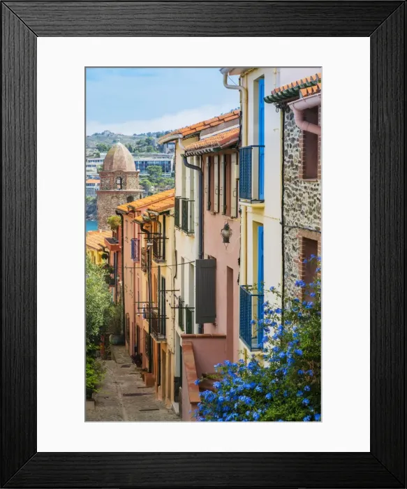 Framed Print : Old town street, Collioure, Languedoc-Roussillon, France Framed Print : Old town street, Collioure, Languedoc-Roussillon, France