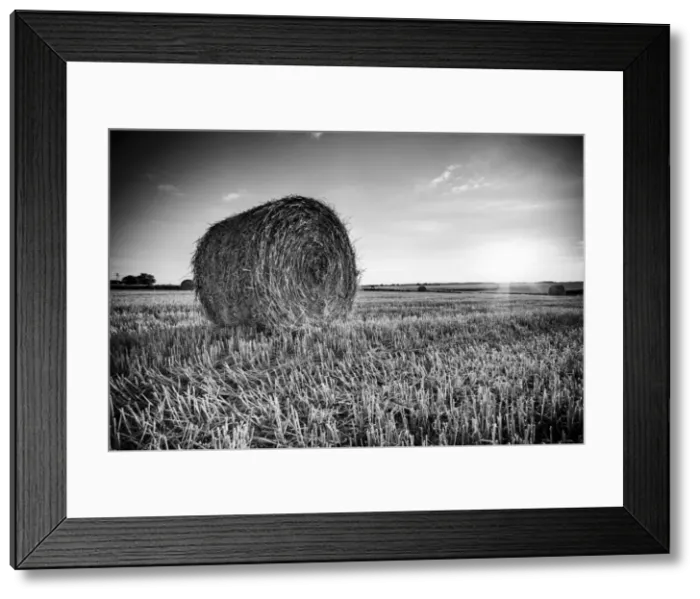 Framed Print : France, Centre Region, Indre-et-Loire, Sainte Maure de Touraine, Straw Bale in field Framed Print : France, Centre Region, Indre-et-Loire, Sainte Maure de Touraine, Straw Bale in field