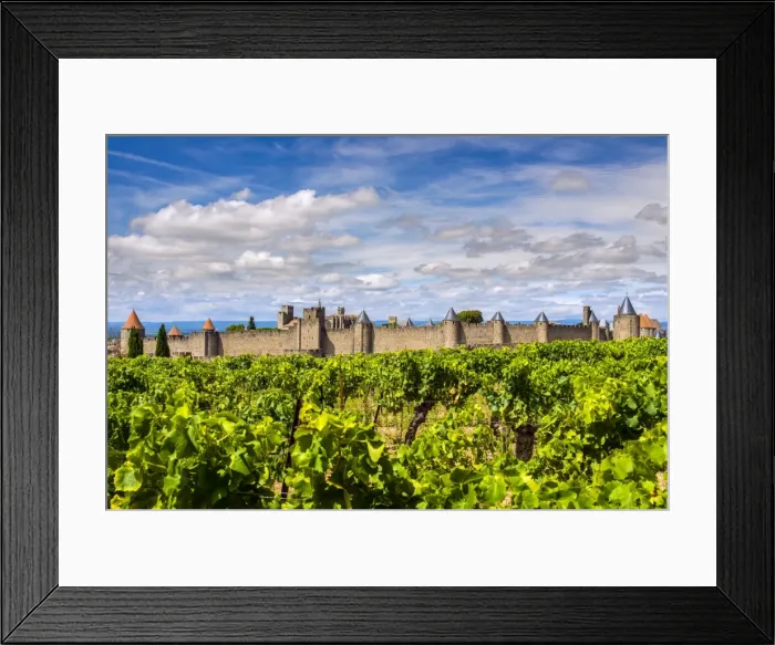 Framed Print : Vineyard with the medieval fortified citadel behind, Carcassonne, Languedoc-Roussillon Framed Print : Vineyard with the medieval fortified citadel behind, Carcassonne, Languedoc-Roussillon