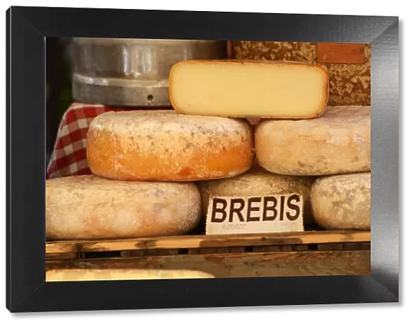 Cheese for sale at local market, L Isle sur la Sorgue, Provence Alpes Cote d Azur