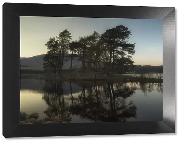 United Kingdom, UK, Scotland, Highlands, Two scots pines at sunset at Loch Tulla