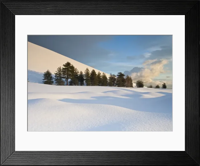 Framed Print : Italy, Sicily, Mt. Etna, Trees at the base of Sartorius crater after a heavy snowfall Framed Print : Italy, Sicily, Mt. Etna, Trees at the base of Sartorius crater after a heavy snowfall