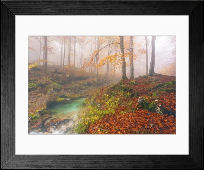 Framed Print : Italy, Friuli Venezia Giulia, Valley Arzino in autumn Framed Print : Italy, Friuli Venezia Giulia, Valley Arzino in autumn