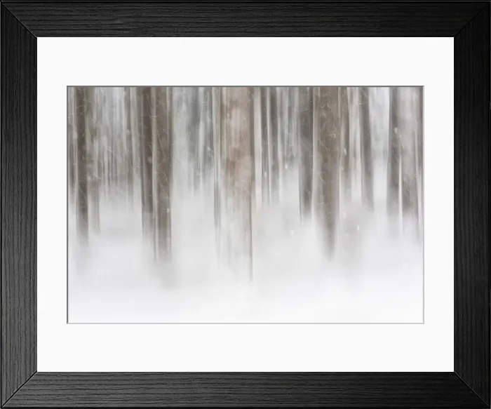 Framed Print : Italy, Friuli Venezia Giulia, forest in the snow Framed Print : Italy, Friuli Venezia Giulia, forest in the snow