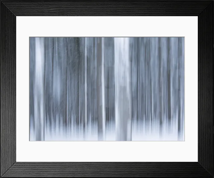 Framed Print : Italy, Friuli Venezia Giulia, forest in the snow Framed Print : Italy, Friuli Venezia Giulia, forest in the snow
