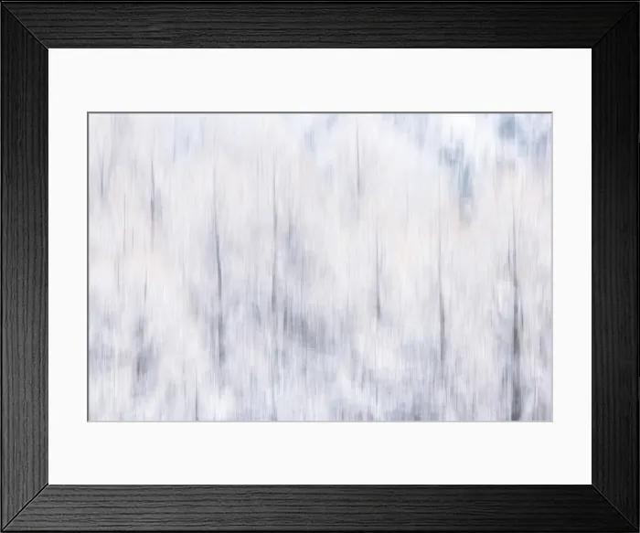 Framed Print : Italy, Friuli Venezia Giulia, forest in the snow