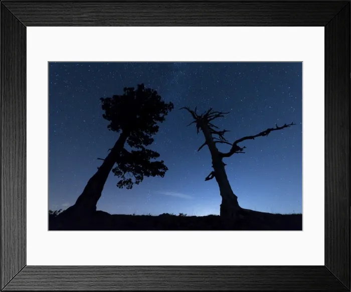 Framed Print : Italy, Calabria, Loricati pines on the Pollino at night Framed Print : Italy, Calabria, Loricati pines on the Pollino at night