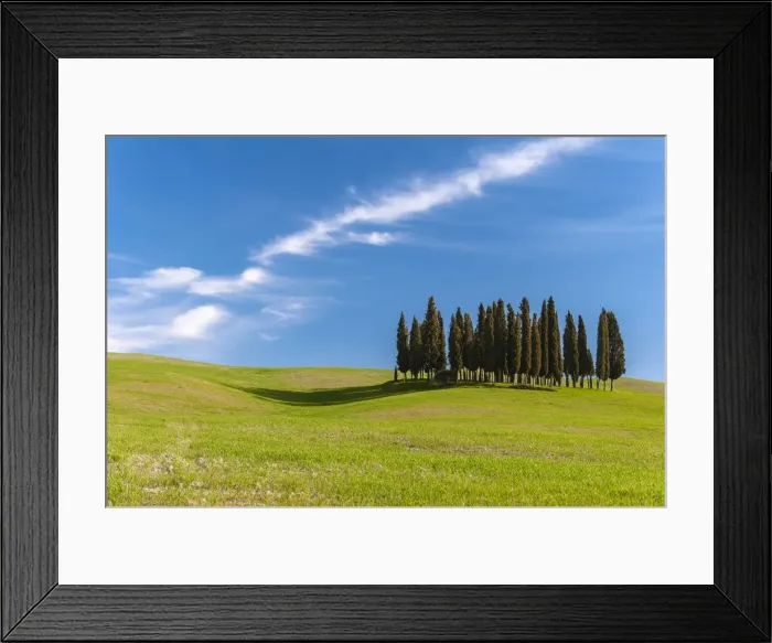 Framed Print : Cypress trees, Val d Orcia, Tuscany, Italy Framed Print : Cypress trees, Val d Orcia, Tuscany, Italy