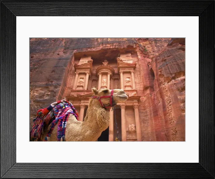 Framed Print : Camel In Front Of The Treasury, Petra, Jordan, Middle East Framed Print : Camel In Front Of The Treasury, Petra, Jordan, Middle East