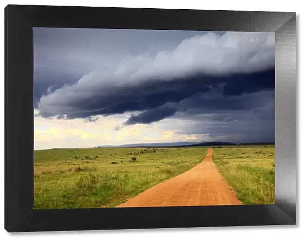 Landscape, Msai Mara National Reserve, Kenya