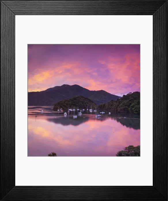 Framed Print : Sunset illuminates the picturesque Ngakuta Bay, Queen Charlotte Sound, Marlborough Sounds Framed Print : Sunset illuminates the picturesque Ngakuta Bay, Queen Charlotte Sound, Marlborough Sounds
