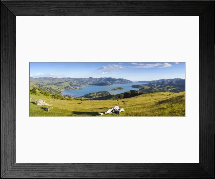 Framed Print : Elevated view over Banks Peninsular, Canterbury, South Island, New Zealand Framed Print : Elevated view over Banks Peninsular, Canterbury, South Island, New Zealand