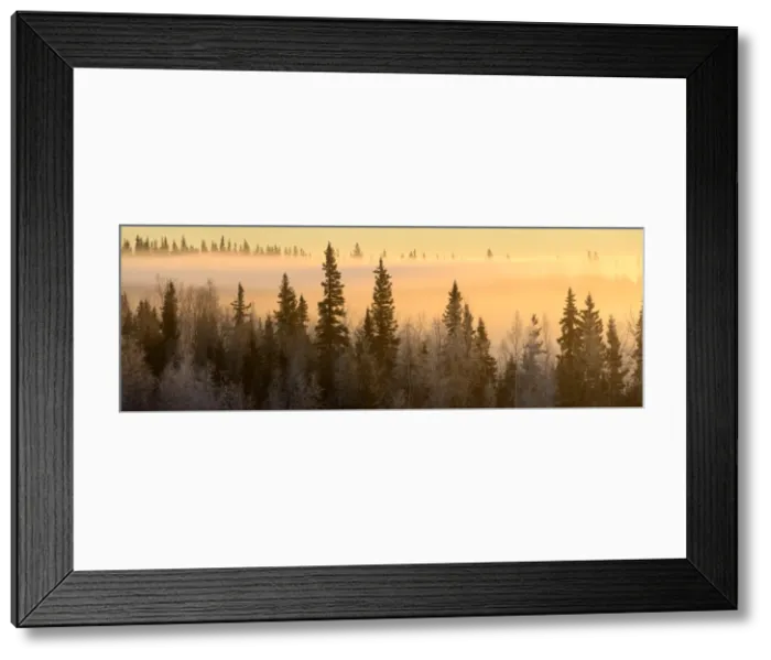 Framed Print : Sunrise over Fairbanks, Alaska, USA Framed Print : Sunrise over Fairbanks, Alaska, USA