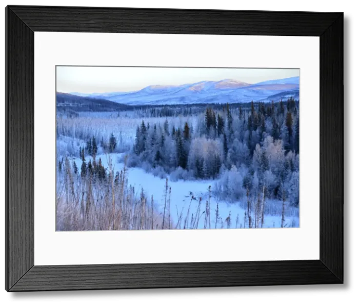 Framed Print : Winter landscape along the Steese Highway, Fairbanks, Alaska, USA Framed Print : Winter landscape along the Steese Highway, Fairbanks, Alaska, USA